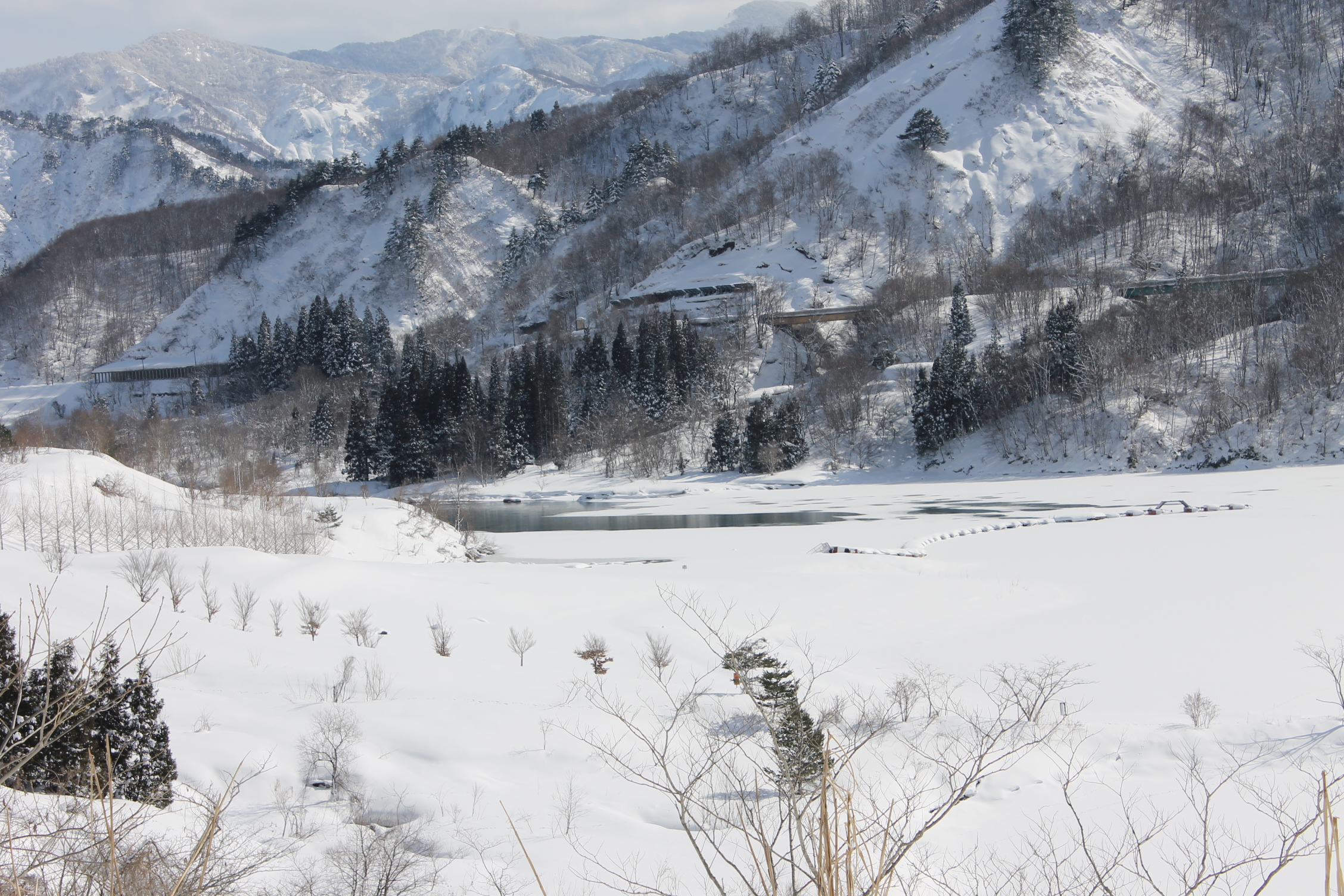 レイクラフティング