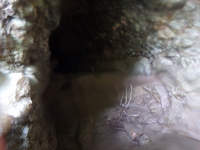 レイクラフティング