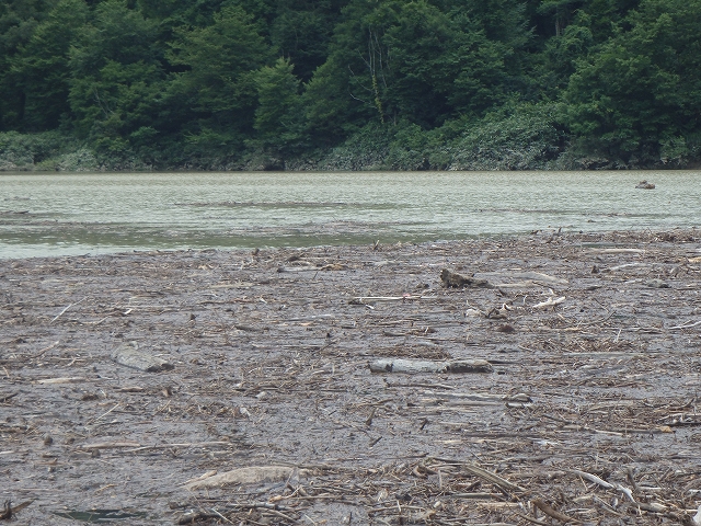 レイクラフティング